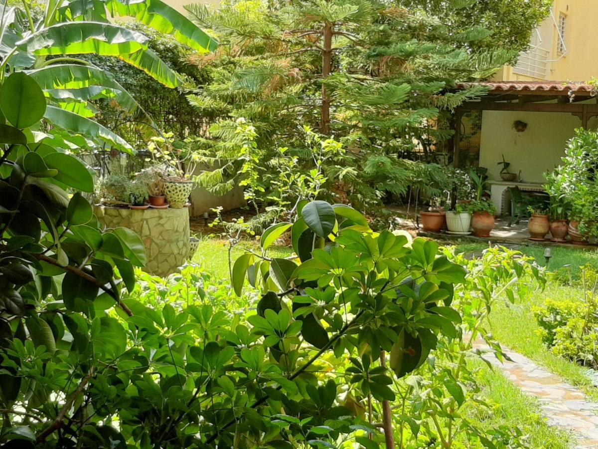 Lovely House Athena Bagian luar foto